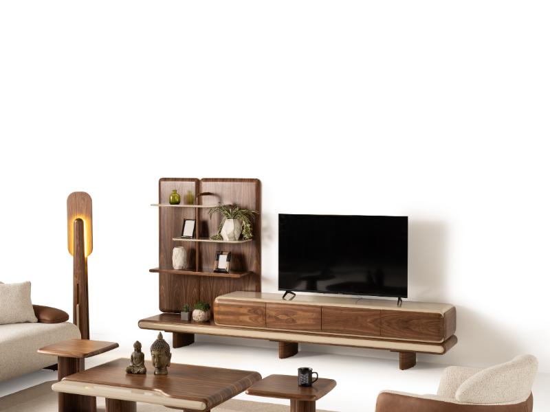 Torino TV Unit