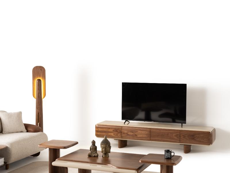 Torino TV Unit